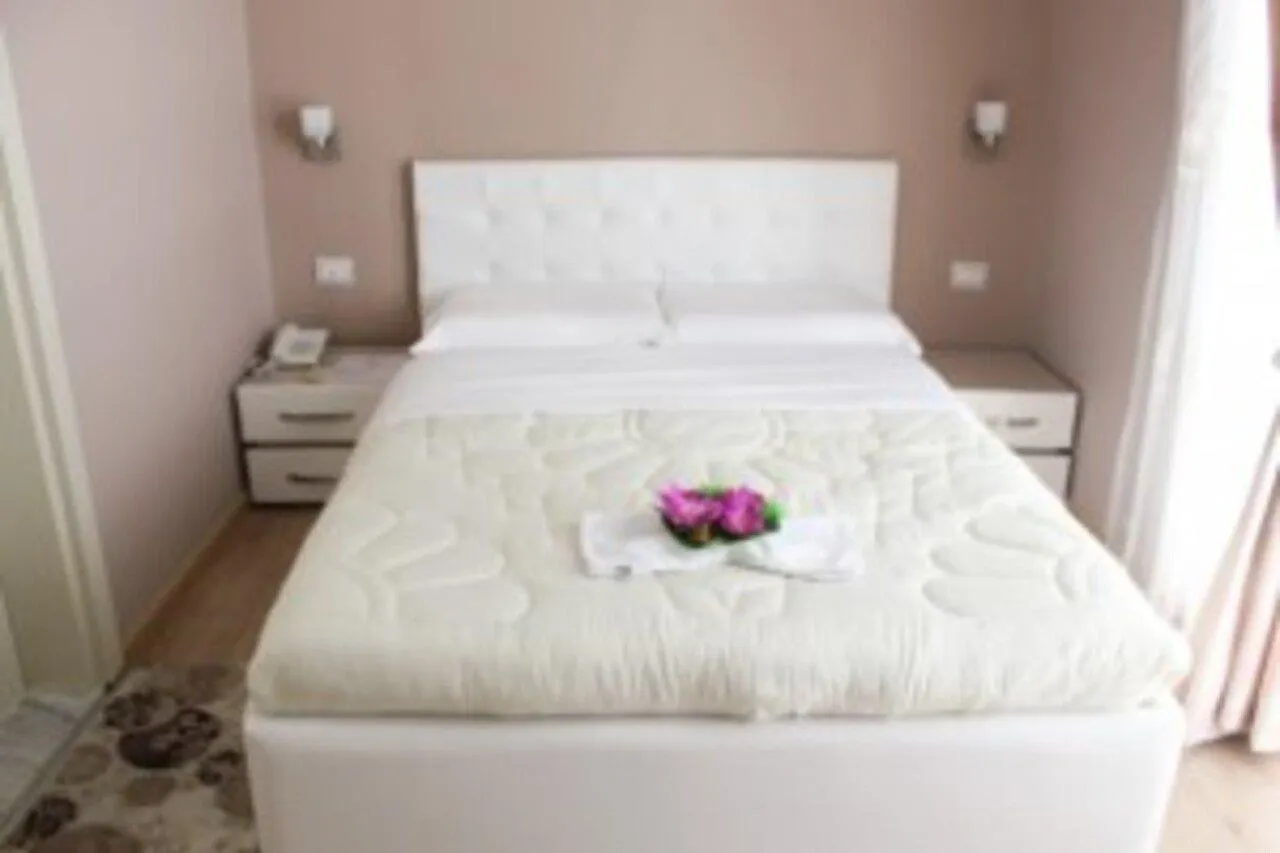 Hotel Vila Verde City Center Tirana 4*,